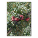 RED FLOWERS blank card