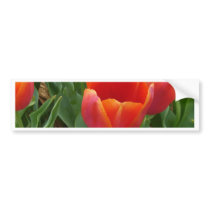 Red Flowers Bumper Sticker