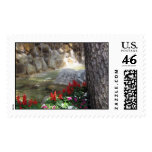 Red Flowers by a Stream postage