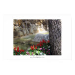 Red Flowers by a Stream Poster or Print posters