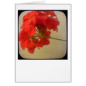 Red Flowers cards