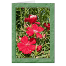 Red Flowers cards