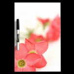 Red flowers close up on white dry erase boards