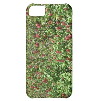 Red flowers field iPhone 5C cases
