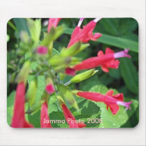 Red Flowers, Jamma Photo 2008 mousepads by JammaJen Red Flowers, Jamma Photo 2008 mousepads