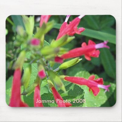 Red Flowers, Jamma Photo 2008 Mouse Mat by JammaJen