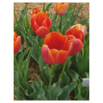 Red Flowers Personalized Letterhead