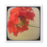 Red Flowers magnets