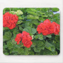 red flowers mousepads