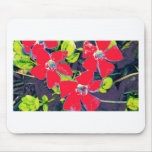 Red Flowers Mousepad