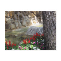 Red Flowers near Stream Postcard