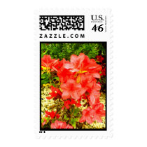Red flowers postage by Anca_pui Red flowers postage