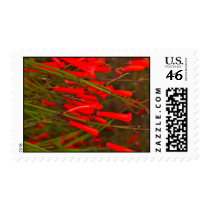 Red Flowers Postage