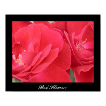 Red Flowers posters
