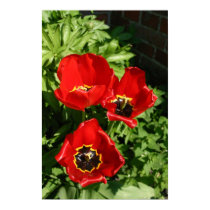 Red Flowers posters