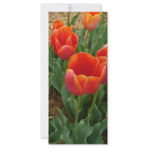 Red Flowers Rack Card