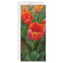 Red Flowers Rack Card