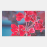 Red flowers rectangular stickers