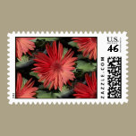 Red Flowers stamps