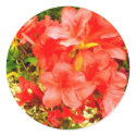 Red flowers stickers by Anca_pui Red flowers stickers