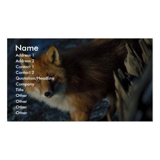 Red Fox at Shipwreck Courtney Ford Business Card (front side)