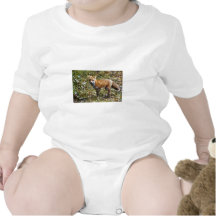Red Fox Baby Bodysuits