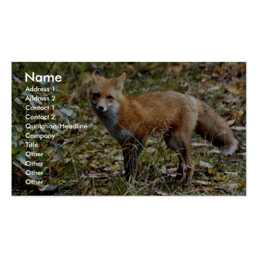 Red Fox Business Card Template (front side)