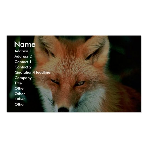 Red Fox Business Cards (front side)