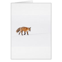 Red Fox Cards