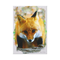 Red Fox Digital Portrait Painting Gallery Wrap Canvas