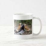 Red Fox - Fight Mugs