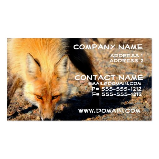 Red Fox Habitat Business Card (front side)