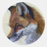 Red Fox (head study) Round Sticker
