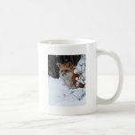 Red Fox in the Snow Coffee Mugs
