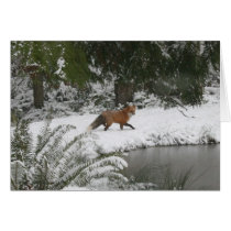 Red Fox in Winter Wonderland cards