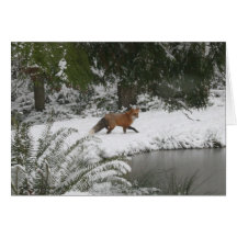 Red Fox in Winter Wonderland Card