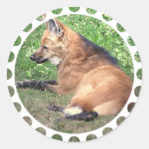 Red Fox Pictures Sticker