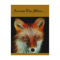 Red Fox Postcard