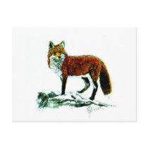 Red Fox Postcard