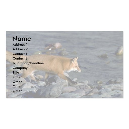 Red Fox running beside river Business Card (front side)