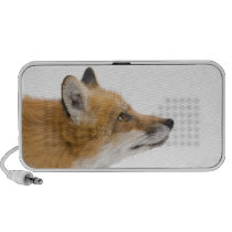 Fox Speakers