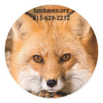 Red Fox Stickers by HooHaven Red Fox Stickers