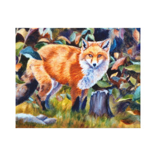 Red Fox Stretched Canvas Print