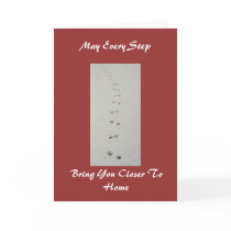 Red Fox Tracks cards