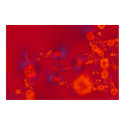 Red fractal posters