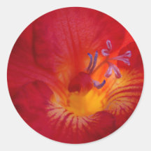 Red Freesia Flower Items Round Stickers