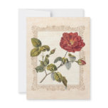 Red French Rose Sixtieth Birthday Party Invitation