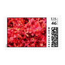 Red Frenzy postage