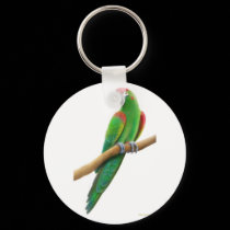 Red Fronted Macaw Parrot Keychain