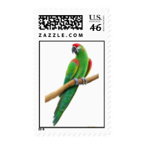 Red Fronted Macaw Postage postage